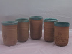Fossil Imprint Tumblers