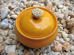 Sugar Bowl